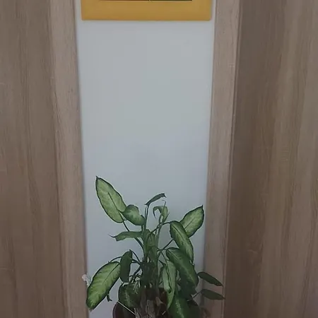 بيت ضيافة Noclegi بوزنان