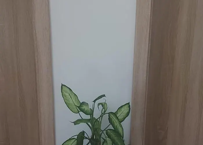 Affittacamere Noclegi Poznań