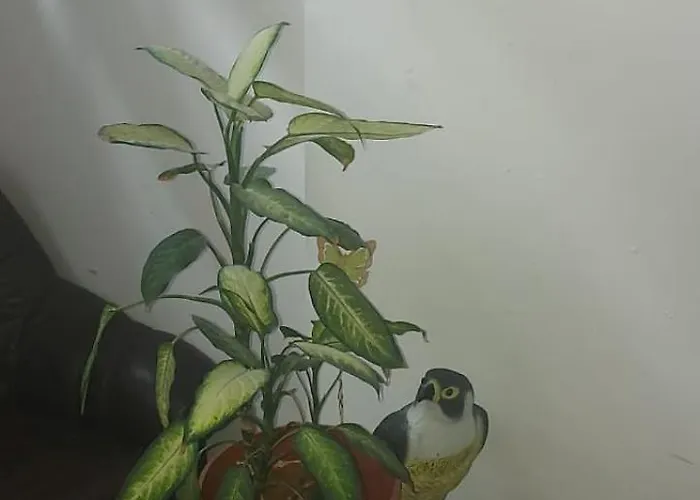 Noclegi 招待所 波兹南